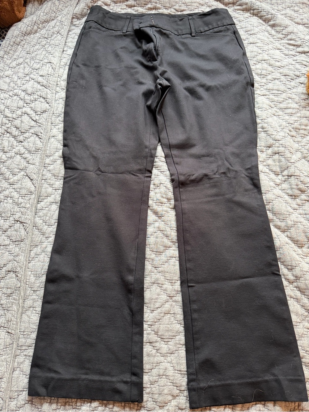 cleo Black Boot Cut Dress Pants